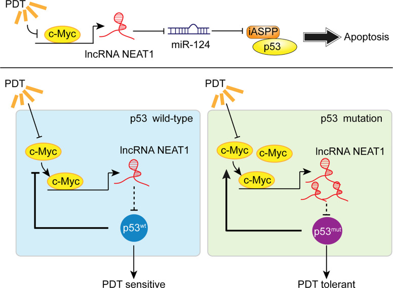 Figure 10