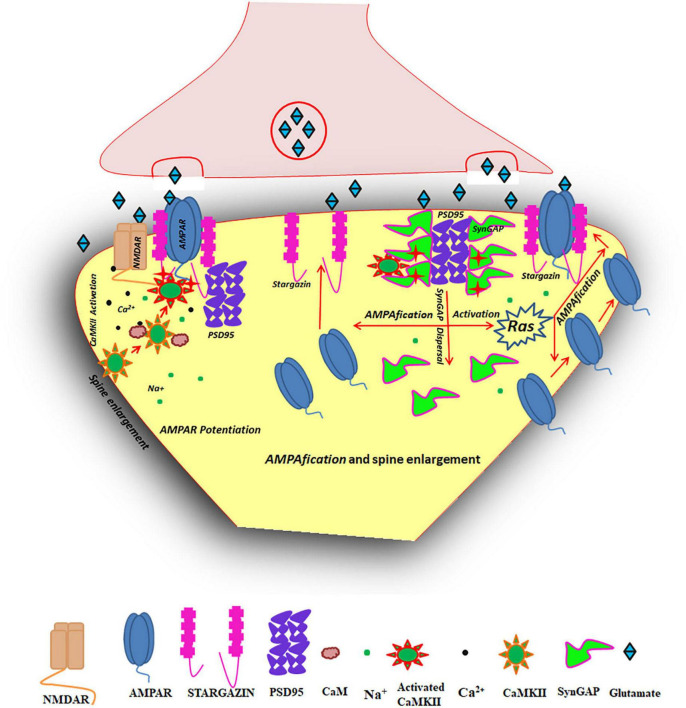 FIGURE 3