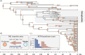 Ancestral habitat estimation for bonytongue fishes.