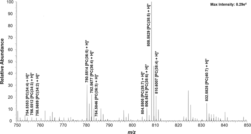 Figure 2.