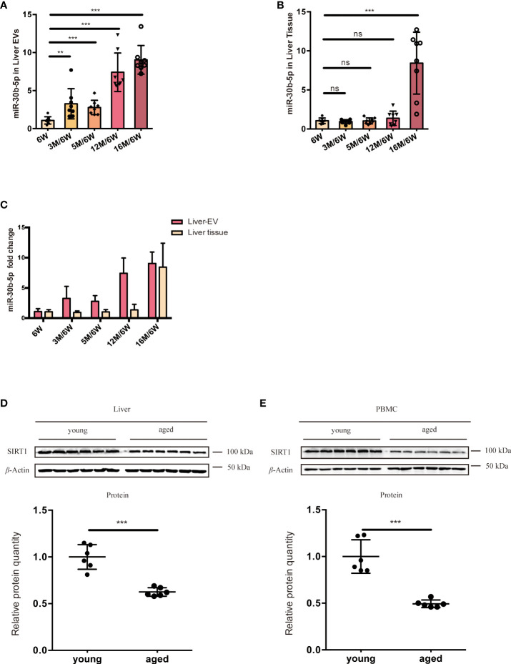 Figure 6