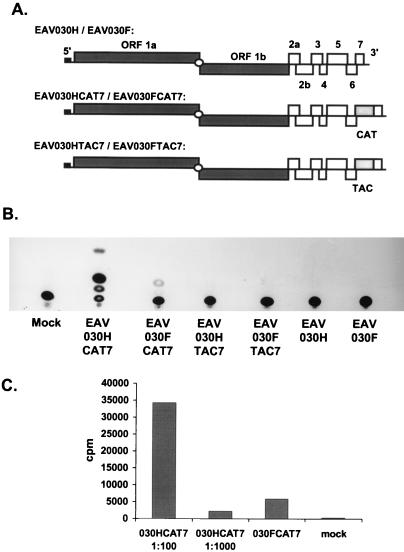 FIG. 5