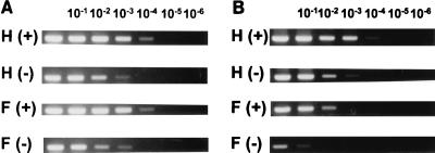 FIG. 6