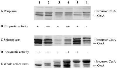 FIG. 4.