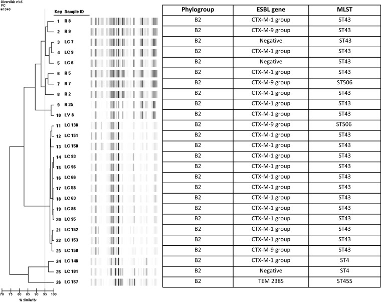 FIG 1