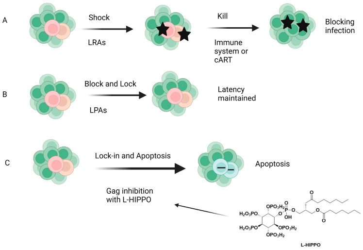 Figure 14