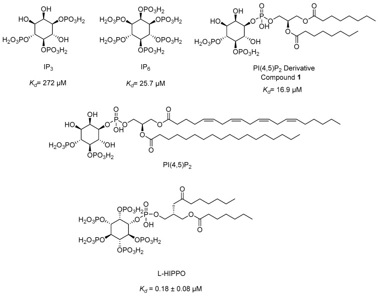 Figure 10