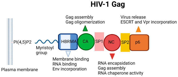 Figure 9