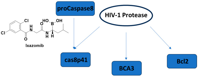 Figure 15