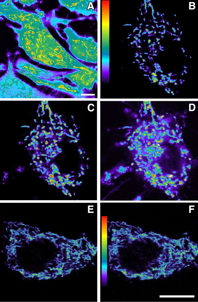 Fig. 4