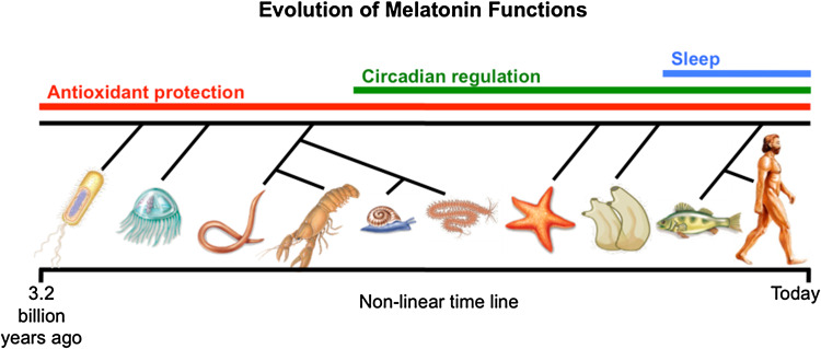 Fig. 3