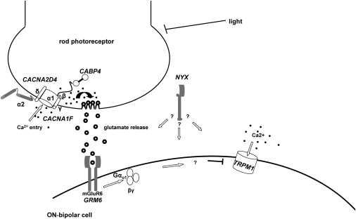 Figure 6