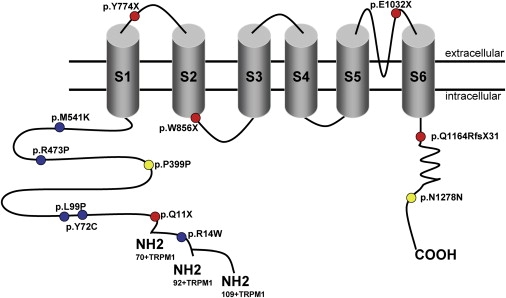 Figure 5