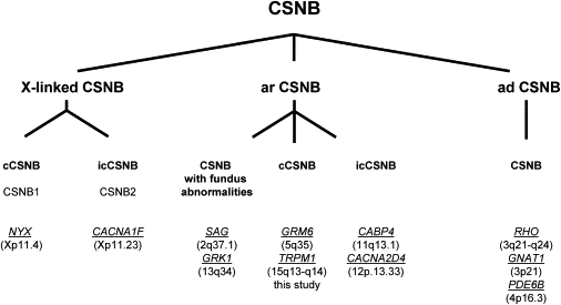 Figure 7