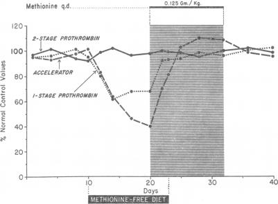 graphic file with name jcinvest00322-0091-a.jpg