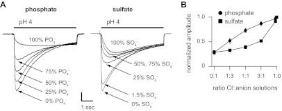 Fig. 8.