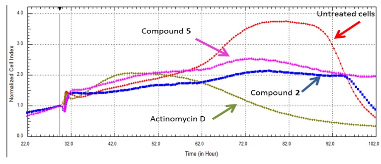 Figure 5