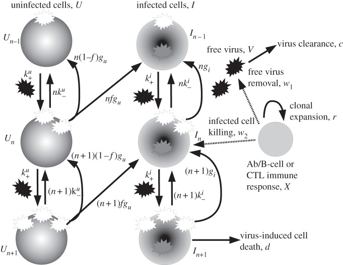 Figure 1.