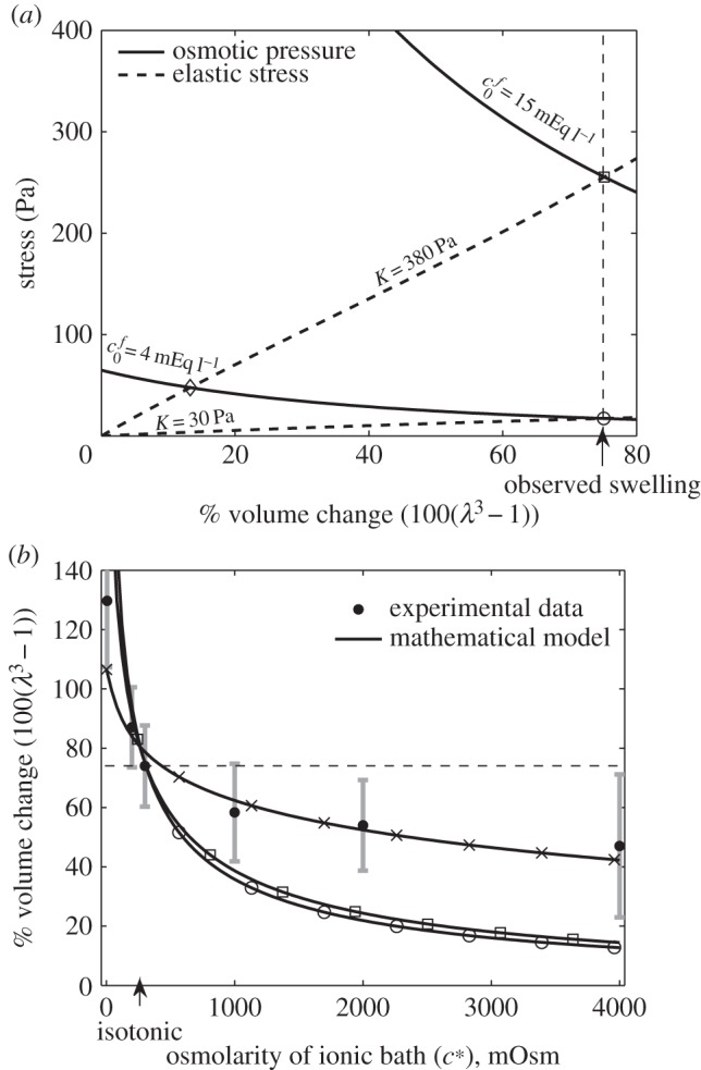 Figure 3.