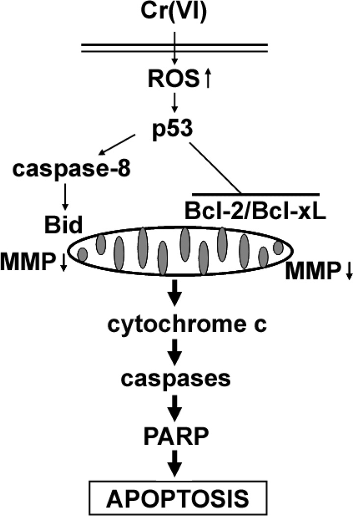 Fig. 9