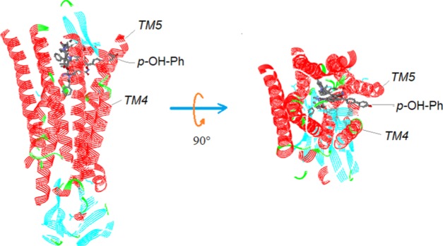 Figure 27