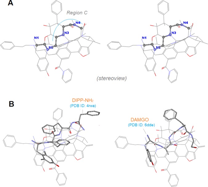 Figure 21