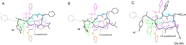 Figure 23