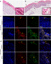 Fig. 6: