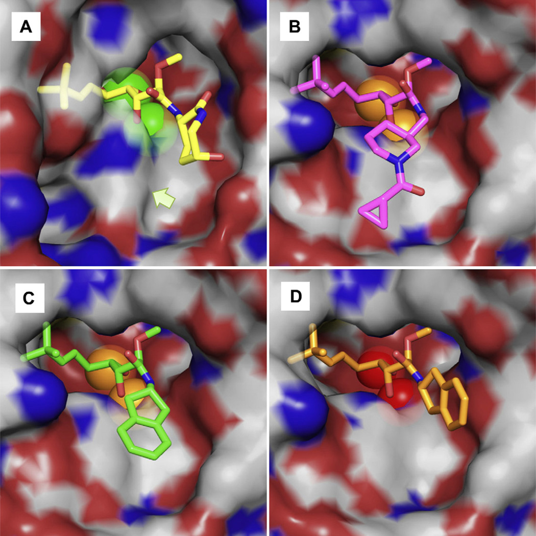 Fig. 3