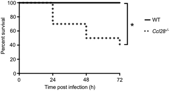 FIG. 5.