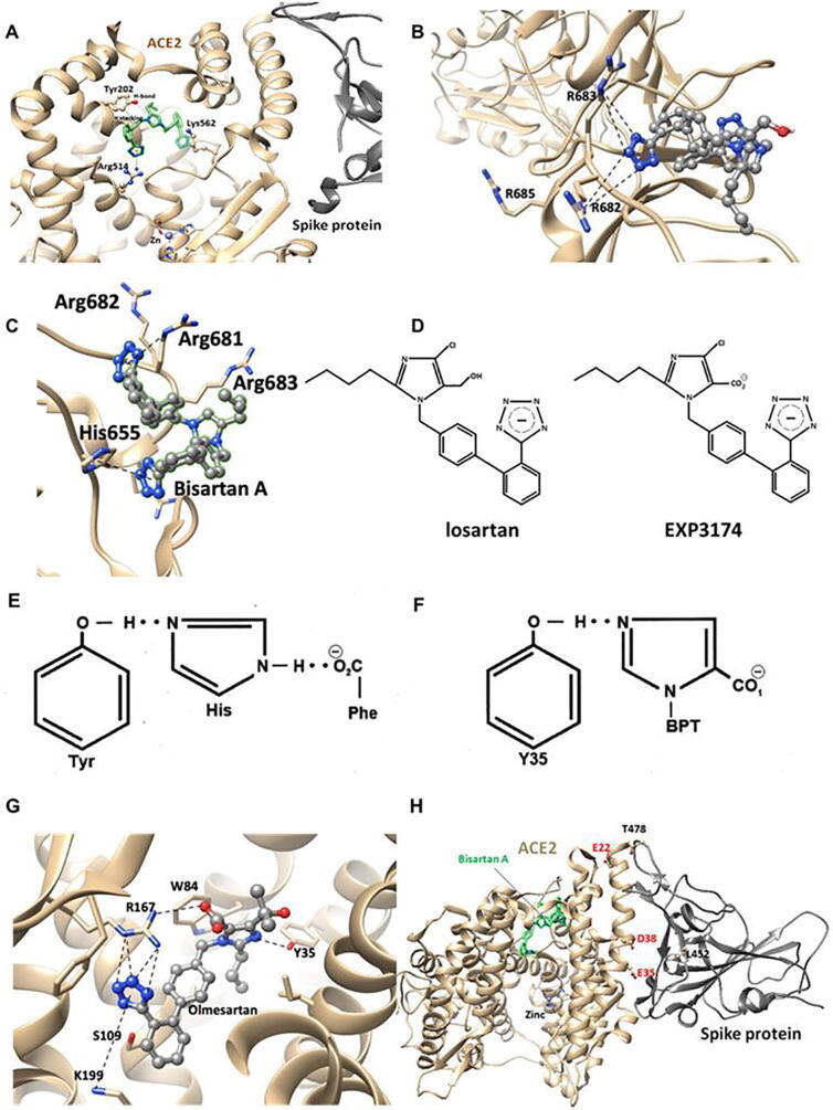 Fig. 10