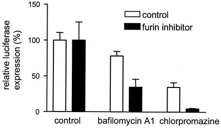 FIG. 7.