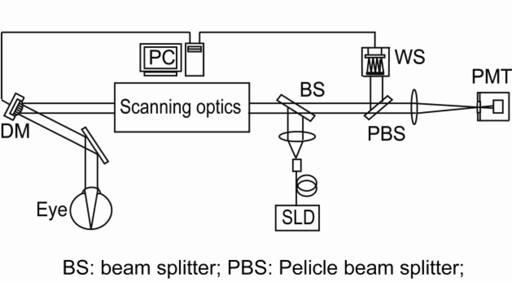 Fig.1