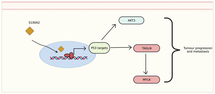 Figure 7