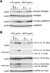 Figure 6