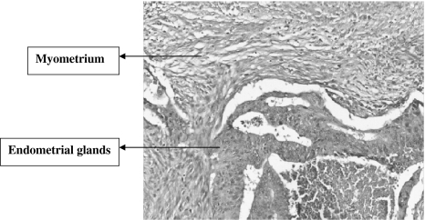 Fig. 7