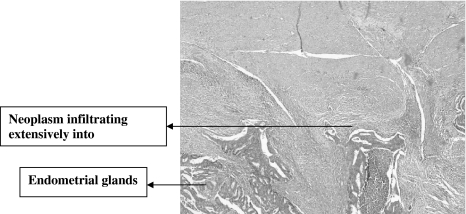 Fig. 6