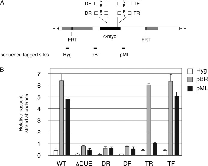 FIGURE 4.