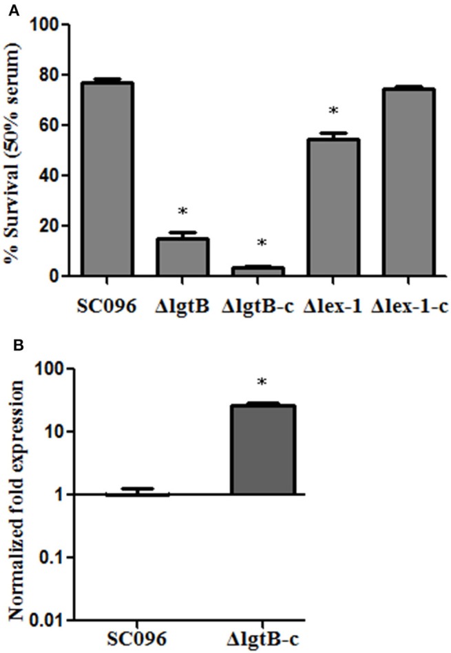 Figure 4