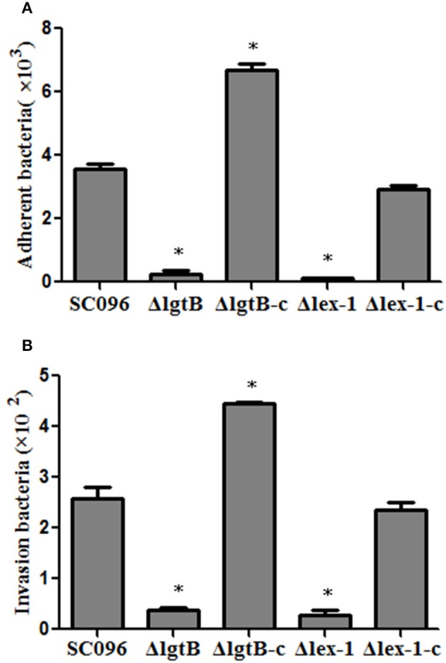 Figure 6