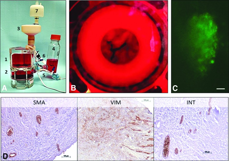 FIG. 6.