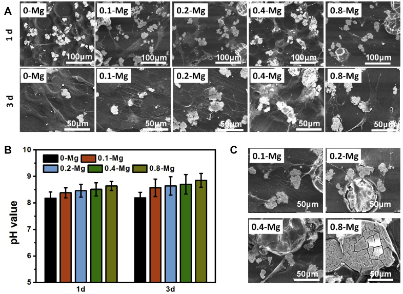 Figure 4