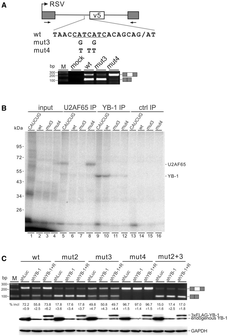 Figure 5.