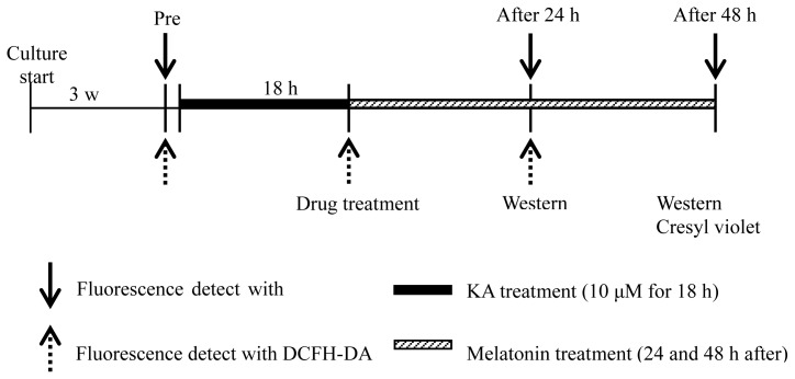 Figure 5.