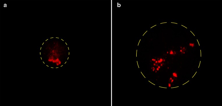 Fig. 4