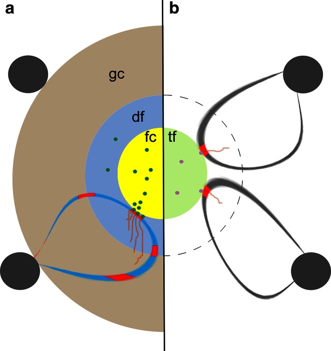 Fig. 3