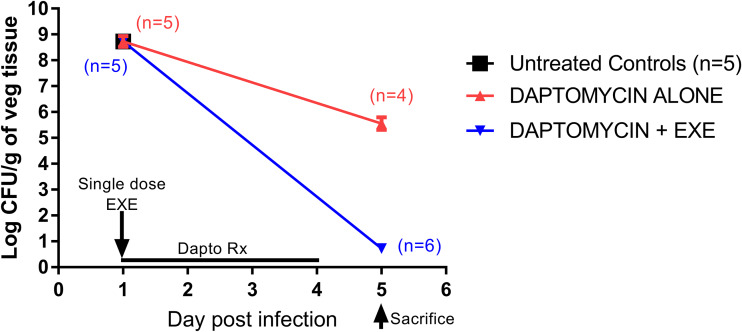 FIG 2