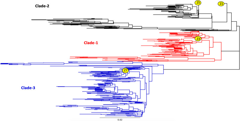 FIG 1