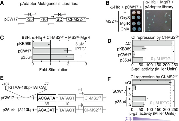 FIGURE 4.