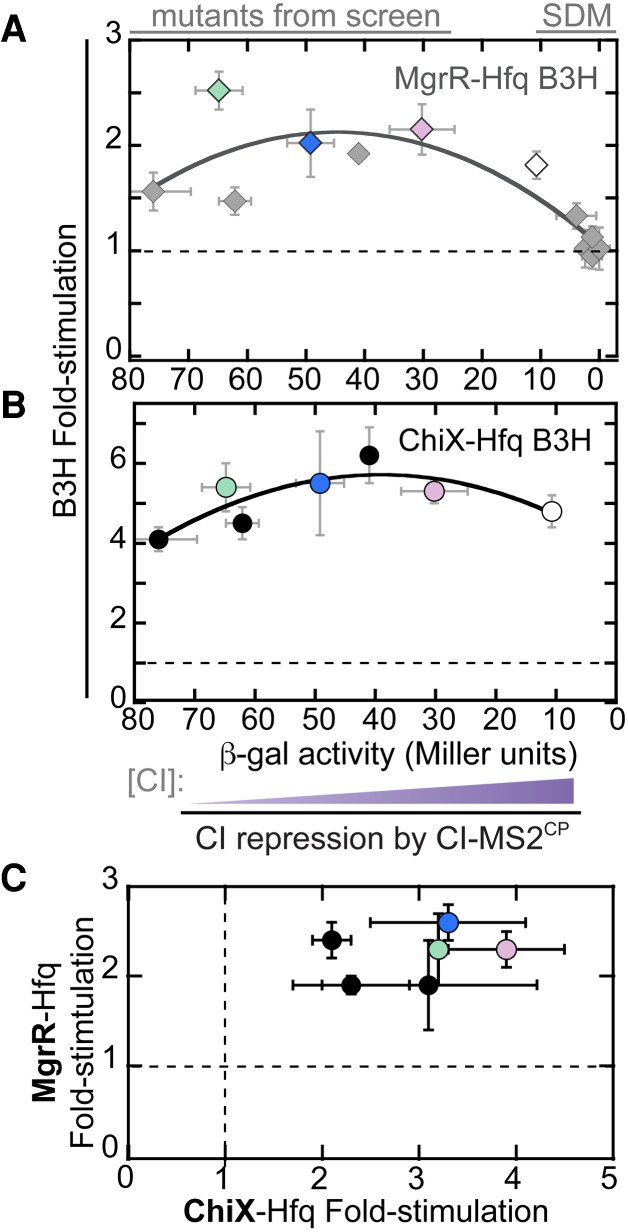 FIGURE 5.